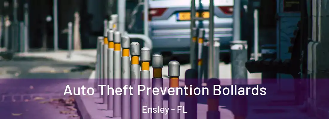  Auto Theft Prevention Bollards Ensley - FL