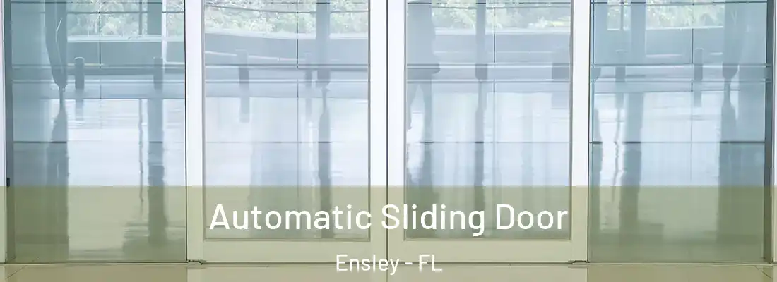  Automatic Sliding Door Ensley - FL