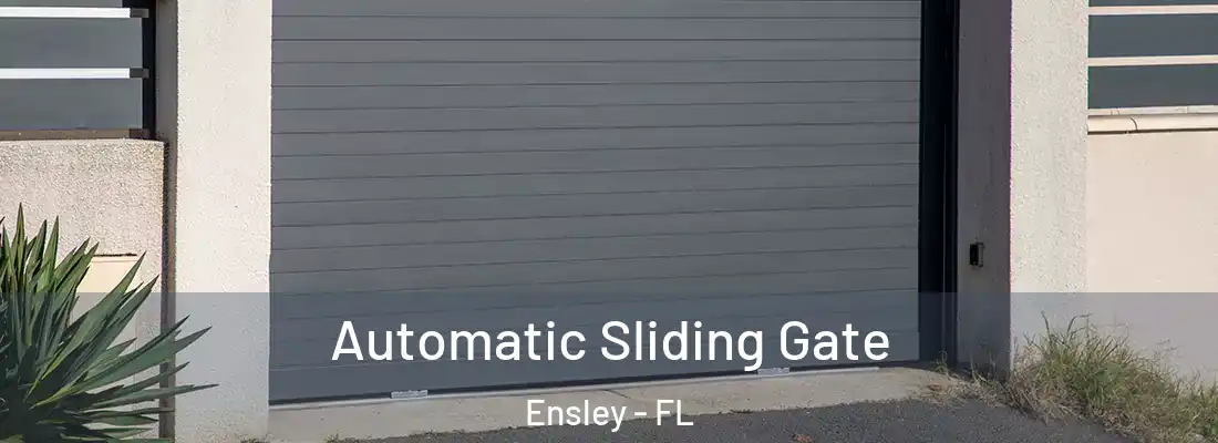  Automatic Sliding Gate Ensley - FL