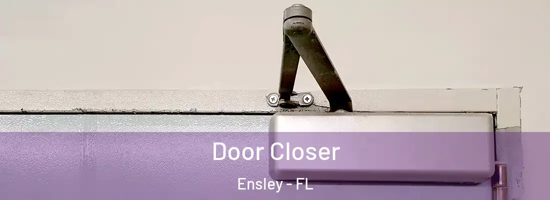  Door Closer Ensley - FL