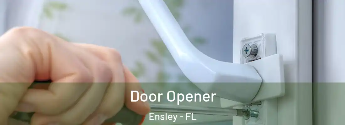  Door Opener Ensley - FL