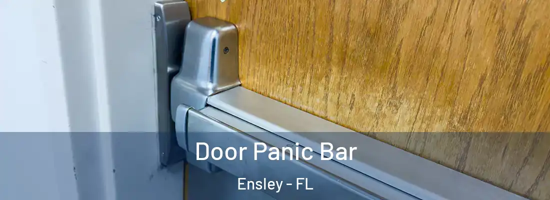  Door Panic Bar Ensley - FL