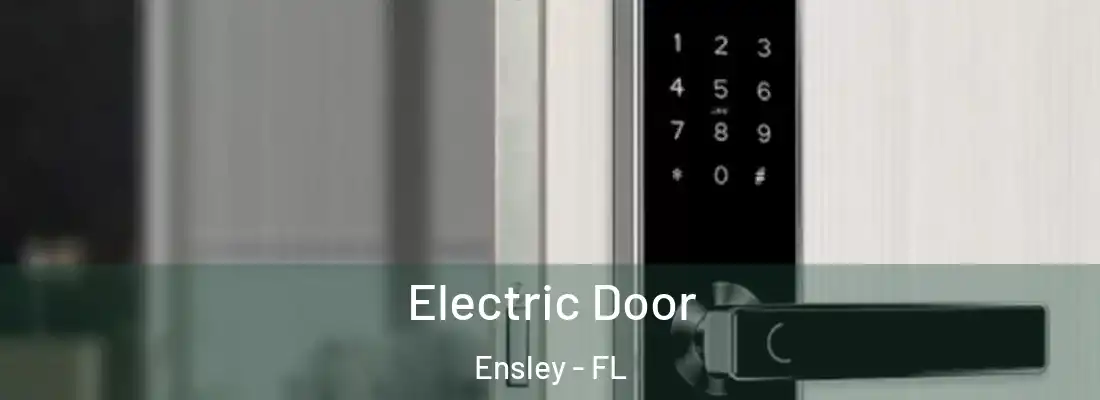 Electric Door Ensley - FL