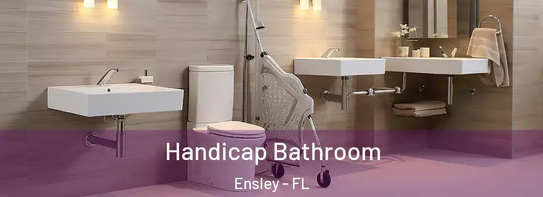 Handicap Bathroom Ensley - FL