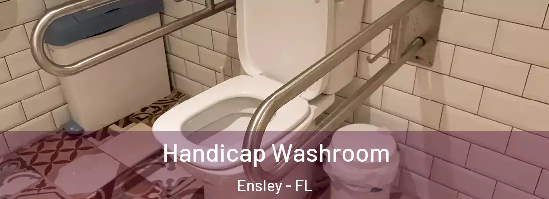 Handicap Washroom Ensley - FL