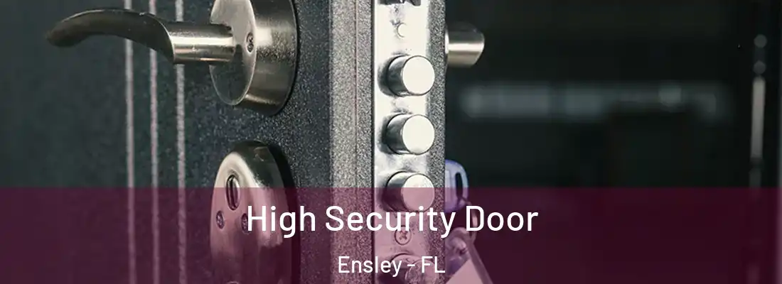  High Security Door Ensley - FL