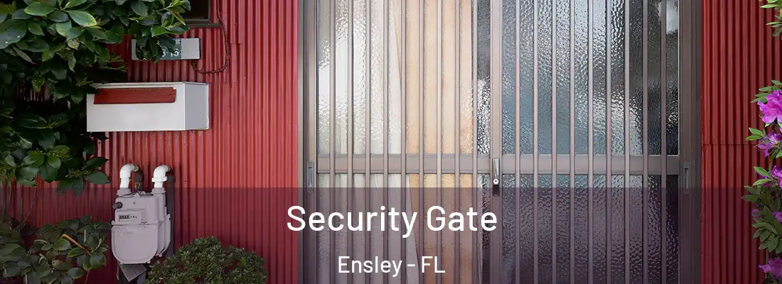  Security Gate Ensley - FL