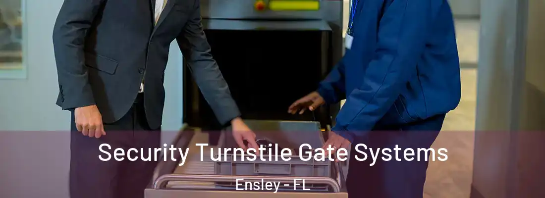  Security Turnstile Gate Systems Ensley - FL